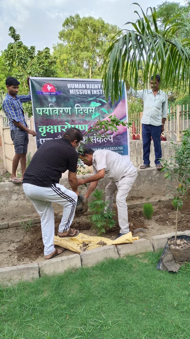 Tree Plantation Drive On 05.06.2022